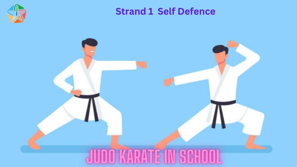 HPE 13 judo karate