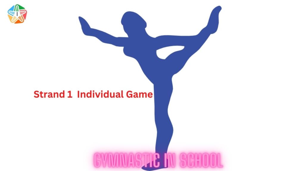 HPE 21 gymnastic