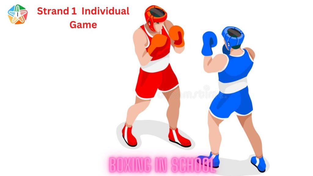 HPE 24 boxing